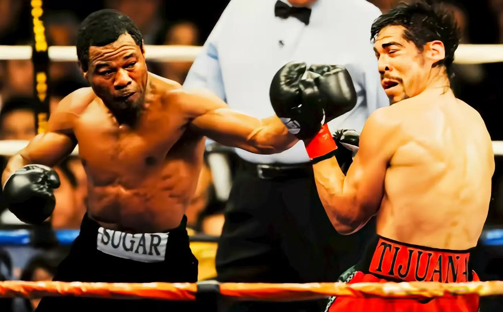 比赛质量极, 职业生涯最