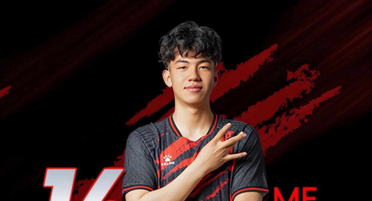 高达, 王博豪贡献